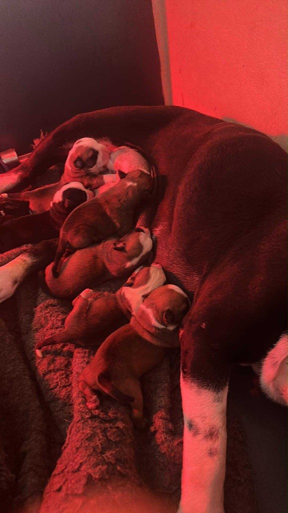 DES BÉBÉS CONTIS BIENTOT DISPOS
